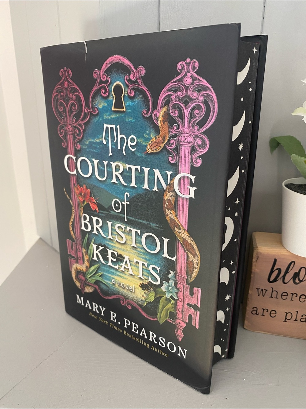 The Courting of Bristol Keats Book Decorative Novel